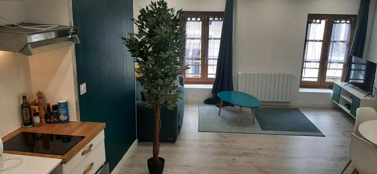 Appartement Netflix Centre De Vienne Pres De Lyon Luaran gambar
